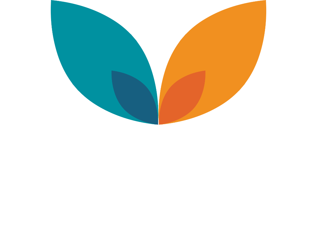 Vanguardia Tecnologías